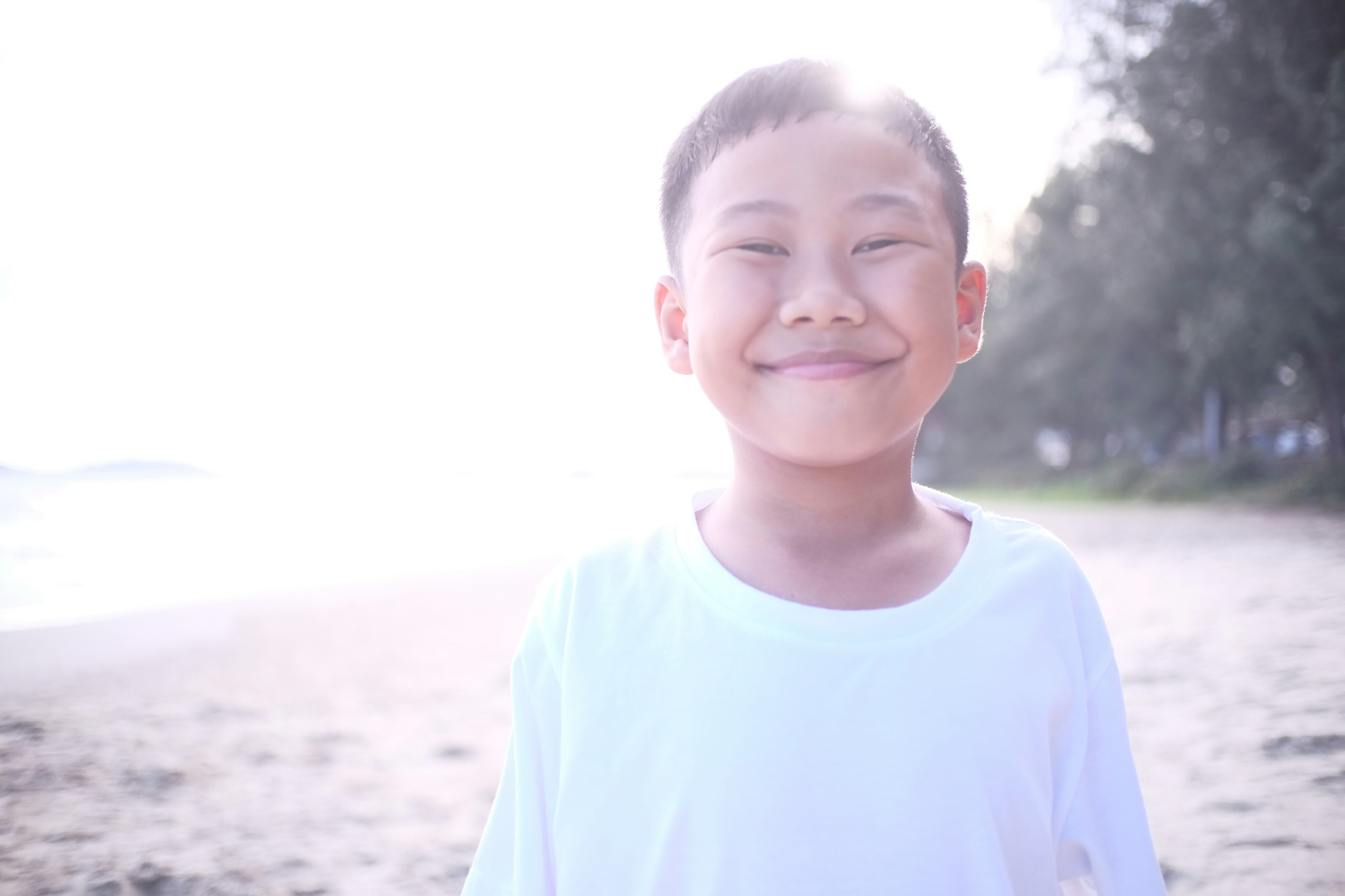 精选与更新模块示意