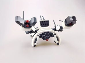 Clothing and Accessories