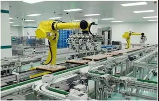 King Charles Cavalier